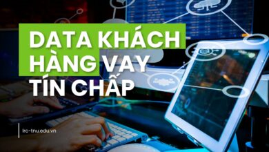 DATa khách hàng vay tín chấp