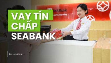 vay tín chấp SEABANk